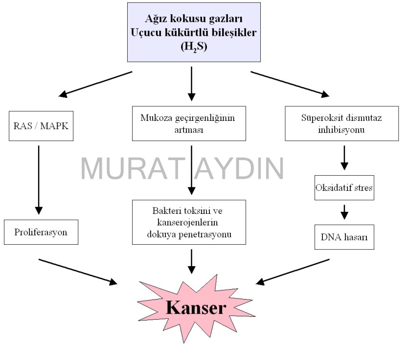 agiz-kokusu-kanser-yaparmi.jpg